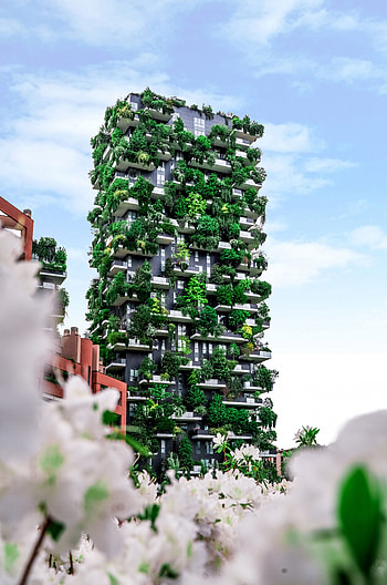 Plants, Cities, Architecture, Building, House, Modern, Up To Date, Eco HD phone wallpaper
