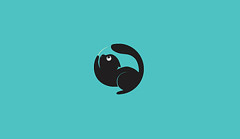Funny, Art, Vector, Cat, Minimalism HD wallpaper