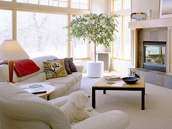 Miscellanea, Miscellaneous, Sofa, Furniture, Coziness, Comfort, Pillows, Cushions, Television, Television Set HD wallpaper