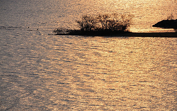 Nature, Rivers, Grass, Ripples, Ripple, Flow HD wallpaper