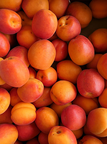 Apricot facts from Valais, Interesting trivia, Culinary delights, Swiss cuisine HD phone wallpaper