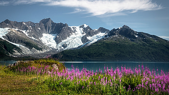 Trip report Alaska, amazing views, and adventure tours, Alaska travels HD wallpaper
