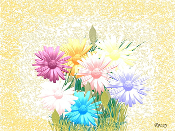 Flowers, cute HD wallpaper