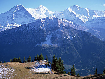 Nature, Trees, Mountains, Snow, Vertex, Tops, Greatness, Grandeur, Kingdom HD wallpaper