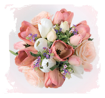 Promise of spring, bouquet, green leaves, pink and white, flowers, tulips, beauty HD wallpaper