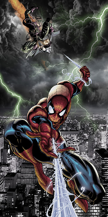 Spiderman and Goblin, marvel, fictional character, green goblin HD phone wallpaper