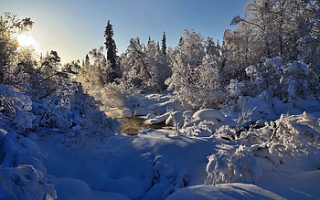 Winter, Nature, Rivers, Trees, Snow, Steam HD wallpaper