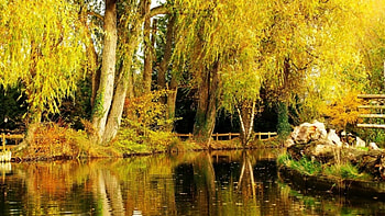 Autumn pond, Park, Pond, Autumn, Trees HD wallpaper