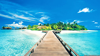 2560x1440 Windows 10 HD wallpaper