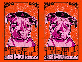 Honor Thy Pit Bull , pride, kind, pit bulls, no hate HD wallpaper
