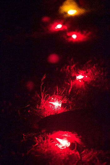 Dark, Shine, Light, Glow, Garland, Light Bulbs HD phone wallpaper