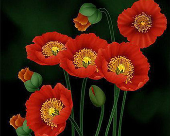 Beautiful Flowers, nature, flowers, orange, petals HD wallpaper