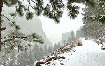 Eldorado Canyon, Colorado, mountains, snow, winter, trees, misty, usa HD wallpaper
