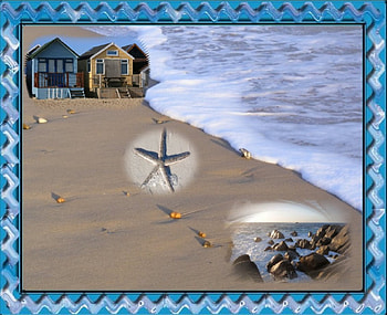 beach front view, starfish, sand, water, rocks, beach HD wallpaper