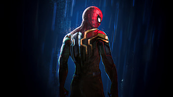 Spiderman No More Rules, spiderman, superheroes, artwork, art, digital-art, pixiv HD wallpaper