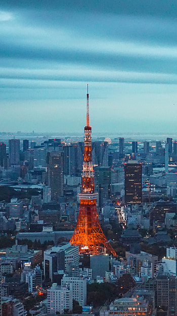 Tokyo Skyline, Tokyo Tower, Iconic landmark, Captivating ry HD phone wallpaper