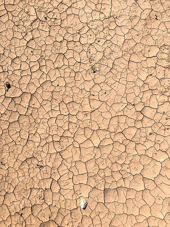 Close-up view of cracked, dry earth showing effects of severe drought and arid conditions. HD phone wallpaper