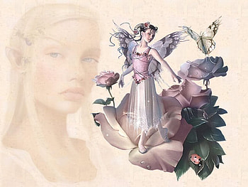 Teacher, fairy, lady, butterfly, flower, women, girl HD wallpaper