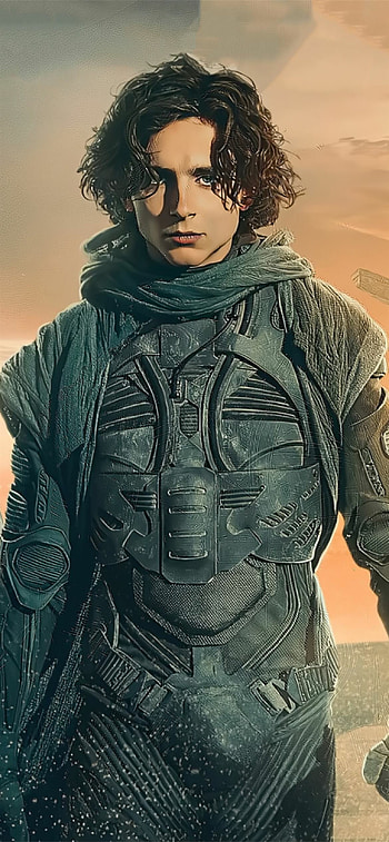 Timothee Chalamet, 12 HD phone wallpaper