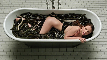 A Cure for Wellness (2022) movie HD wallpaper