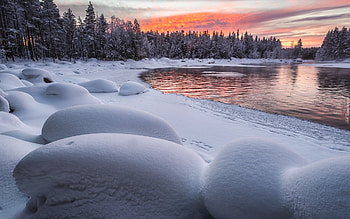 Winter River, spruces, winter, river, snow HD wallpaper