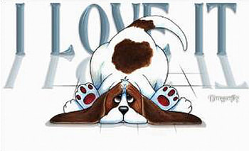 LOVE IT, dog, looking, sad, puppy HD wallpaper