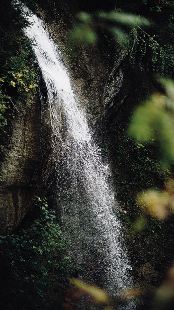 Nature, Waterfall, Spray, Branches, Flow, Stream HD phone wallpaper