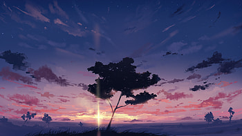 Sunset Sky Clouds Tree , artist, artwork, digital-art HD wallpaper