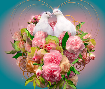 birds, abstract, art, love HD wallpaper