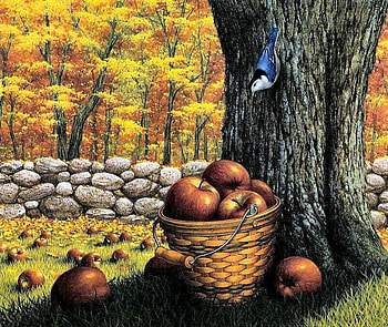 Apple Tree, bird, bucket, wall, grass, stones, tree HD wallpaper