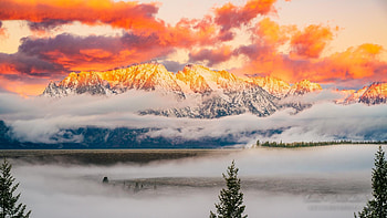 What a beautiful Sunrise....Grand Teton National Park, sky, mountains, wyoming, usa, morning, colors, landscape, mist, clouds, trees HD wallpaper