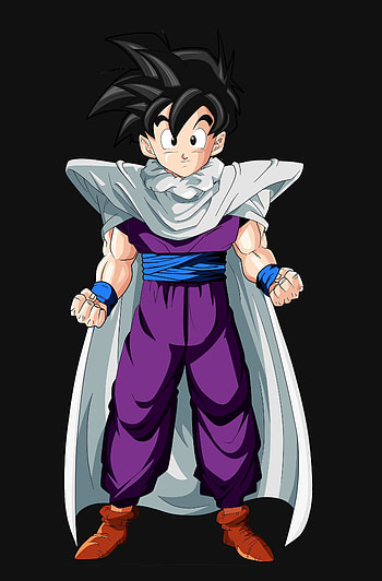 Gohan, Anime protagonist, Dragon Ball Z, Majin Boo HD phone wallpaper
