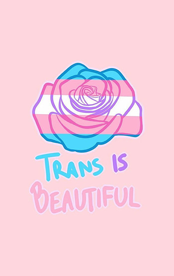 trans flower, lgbtq HD phone wallpaper