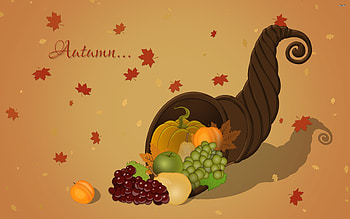 Cornucopia HD wallpaper