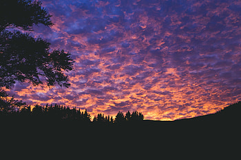 Trees, Sunset, Clouds, Dark, Evening, Porous HD wallpaper