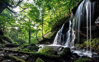 Waterfall, nature, forest, water HD wallpaper