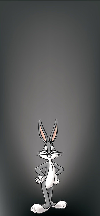 Looney Tunes, Bunny HD phone wallpaper