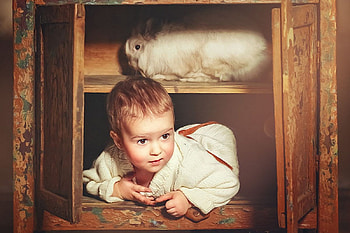 Have you seen someone bunny ?, bunny, funny, , boy HD wallpaper