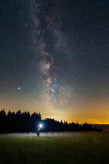 Night, Dark, Spruce, Fir, Nebula, Lantern, Lamp, Human, Person HD phone wallpaper
