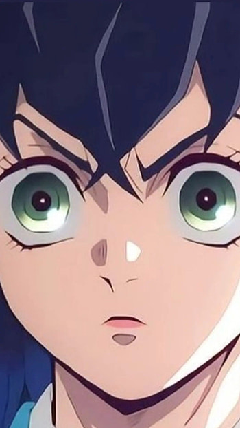 Inosuke Hashibira, head, nose HD phone wallpaper