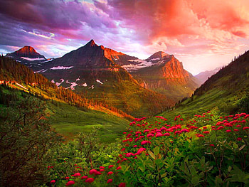 Mountain flowers, hills, peaks, grass, high, mountain, summer, clouds, view, flowers, sky, mountainscape HD wallpaper