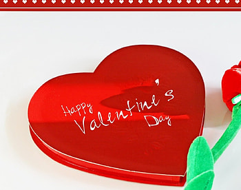 Love, life HD wallpaper