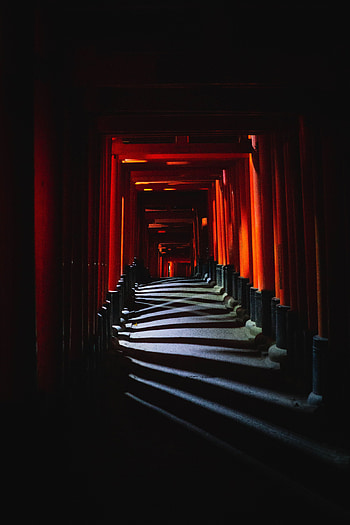 Building, Dark, Corridor, Tunnel, Passage HD phone wallpaper