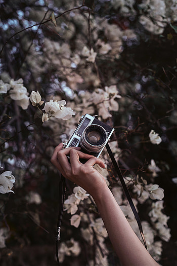 Flowers, Hand, Miscellanea, Miscellaneous, Bloom, Flowering, Retro, Camera HD phone wallpaper