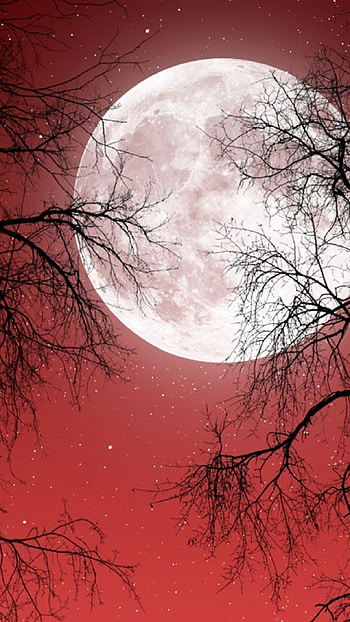 Very Dark Red Sky (19 ) HD phone wallpaper