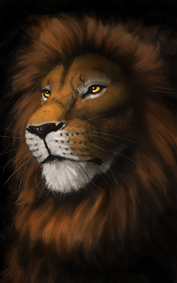 Art, Muzzle, Lion, Predator, Sight, Opinion HD phone wallpaper