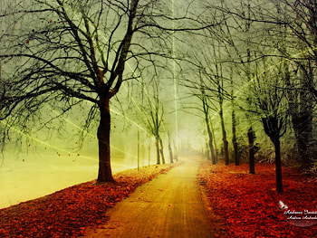 Fantasy autumn, autumn, season, fantasy, tree HD wallpaper