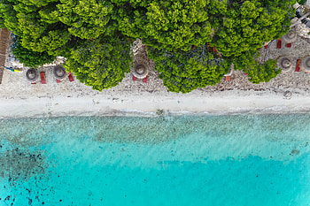 Nature, Trees, Sea, Beach, View From Above, Umbrella HD wallpaper