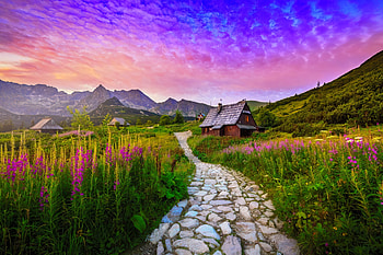 The beautiful Tatra mountains, path, house, beautiful, mountain, cabin, summer, wildflowers, view, sky, sunset HD wallpaper
