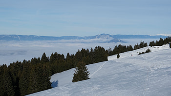 Mountain Tops, trees, winter, snow, mountain HD wallpaper